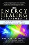 Gary E Schwartz, Gary E. Schwartz - The Energy Healing Experiments