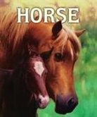 Malachy Doyle, Malachy/ Rinaldi Doyle, Angelo Rinaldi - Horse