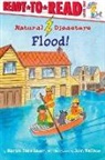 Marion Dane Bauer, John Wallace - Flood!