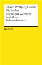 Johann Wolfgang von Goethe, Matthia Luserke, Matthias Luserke - Die Leiden des jungen Werthers, Studienausgabe