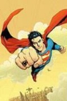 Geoff Johns, Geoff/ Frank Johns, Jon Sibal, Gary Frank, Jon Sibal - Superman and the Legion of Super-Heroes
