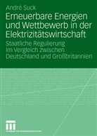 Andé Suck, André Suck - Erneuerbare Energien und Wettbewerb in der Elektrizitätswirtschaft
