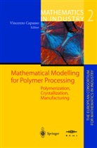 L. L. Bonilla, C. Salani, A. A. F. van de Ven, Vincenz Capasso, Vincenzo Capasso - Mathematical Modelling for Polymer Processing