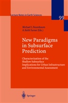 Michael Rosenbaum, Michael S. Rosenbaum, Michael Shaw Rosenbaum, Shaw Rosenbaum, Shaw Rosenbaum, A.Keith Turner... - Subsurface Conditions