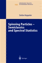 S. Keppeler, Stefan Keppeler - Spinning Particles-Semiclassics and Spectral Statistics