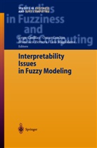 J. Casillas, Jorge Casillas, O. Cordon, Oscar Cordon, Cordón, O Cordón... - Interpretability Issues in Fuzzy Modeling