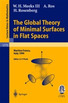 W H II Meeks, W H III Meeks, W. H. Meeks, W. H. III Meeks, W.H. III Meeks, Ros... - The Global Theory of Minimal Surfaces in Flat Spaces