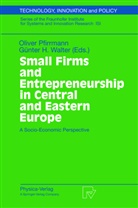H Walter, H Walter, Olive Pfirrmann, Oliver Pfirrmann, Günter H. Walter - Small Firms and Entrepreneurship in Central and Eastern Europe