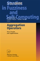 Tomasa Calvo, Gaspa Mayor, Gaspar Mayor, Radko Mesiar - Aggregation Operators