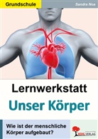 Sandra Noa - Lernwerkstatt Unser Körper