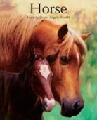 Malachy Doyle, Doyle Malachy, Angelo Rinaldi Malachy Doyle, Angelo Rinaldi, Angelo Rinaldi, Rinaldi Angelo - Horse