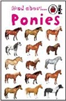 Ladybird - Mad About Ponies