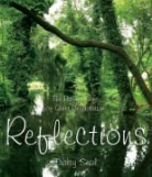 Daisy Seal - Reflections