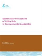 Robert Cicerone, Chris Tatham, Elaine L. Tatham, Robert Cicerone, Chris Tatham, Elaine Tatham - Stakeholder Perceptions of Utility Role in Environmental Leadership