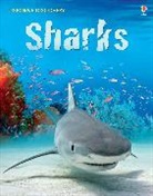 Rachel Firth, Jonathan Sheikh-Miller, Sheikh-Miller Jonathan, SHIEKH MILLER JONATHAN, Jonathan Shiekh-Miller, John Woodcock - Sharks