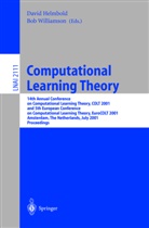 Davi Helmbold, David Helmbold, Williamson, Williamson, Bob Williamson - Computational Learning Theory