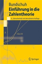 Peter Bundschuh - Einführung in die Zahlentheorie
