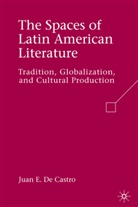 J. de Castro, Juan E. De Castro, Juan E de Castro, Juan E. De Castro, Kenneth A Loparo, Kenneth A. Loparo - Spaces of Latin American Literature