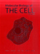 Bruce Alberts, Bruce Johnson Alberts, ALBERTS BRUCE JOHNSON ALEXANDER, Alexander Johnson, LEWI, ROBERT... - Molecular Biology of the Cell