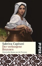 Sabrina Capitani - Der verborgene Brunnen