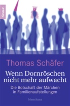 Thomas Schäfer - Wenn Dornröschen nicht mehr aufwacht