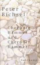 Peter Bichsel - Cherubin Hammer und Cherubin Hammer