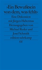 Michae Reder, Michael Reder, Schmidt, Schmidt, Josef Schmidt - »Ein Bewußtsein von dem, was fehlt«