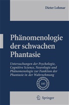 Dieter Lohmar - Phänomenologie der schwachen Phantasie