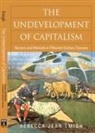 Rebecca Emigh, Rebecca Jean Emigh - The Undevelopment of Capitalism