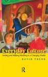 David Trend, Trend David - Everyday Culture