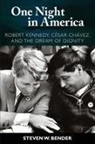 Steven W. Bender, Bender Steven W. - One Night In America