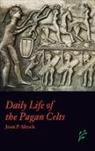 Joan P. Alcock - Daily Life of the Pagan Celts