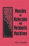 Hochachka W. Hochachka, Peter W. Hochachka, HOCHACHKA PETER W - Muscles As Molecular and Metabolic Machines