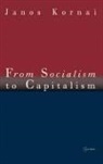 Janos Kornai, János Kornai, Janos (Professor Emeritus Kornai, KORNAI JANOS - From Socialism to Capitalism