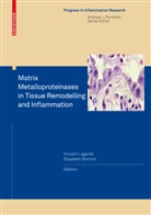 Boichot, Boichot, Elisabeth Boichot, Vincen Lagente, Vincent Lagente - Matrix Metalloproteinases in Tissue Remodelling and Inflammation