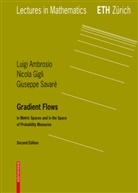 Luig Ambrosio, Luigi Ambrosio, Nicol Gigli, Nicola Gigli, Giuseppe Savare, Giuseppe Savaré - Gradient Flows