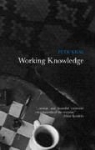Petr Kral, Petr Král, Petr Krl, Kral Petr - Working Knowledge