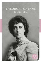 Theodor Fontane - Der Stechlin
