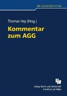 Thomas Hey - Kommentar zum AGG