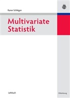 Rainer Schlittgen - Multivariate Statistik