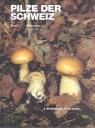 Josef Breitenbach, Fred Kränzlin - Pilze der Schweiz - Bd. 5: Pilze der Schweiz 05. Blätterpilze 3. Teil