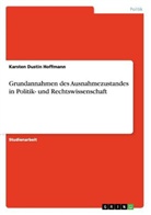 Karsten Dustin Hoffmann - Grundannahmen des Ausnahmezustandes in Politik- und Rechtswissenschaft