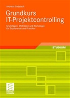 Andreas Gadatsch - Grundkurs IT-Projektcontrolling