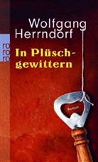 Wolfgang Herrndorf - In Plüschgewittern