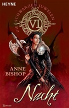 Anne Bishop - Die schwarzen Juwelen: Die schwarzen Juwelen