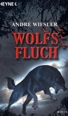 André Wiesler - Die Chroniken des Hagen von Stein 3. Wolfsfluch