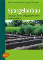 Bernhar Brückner, Bernhard Brückner, Marti Geyer, Martin Geyer, Joac Ziegler, Joachim Ziegler - Spargelanbau