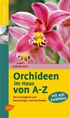 Isabelle Bert - Orchideen im Haus von A-Z