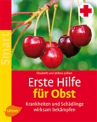Elisabet Jullien, Elisabeth Jullien, Jérome Jullien, Elisabeth Jullien, Jérome Jullien - Erste Hilfe für Obst