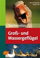 Rudi Proll, Hors Schmidt, Horst Schmidt, Rudi Proll - Taschenatlas Groß- und Wassergeflügel